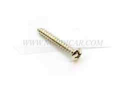 Tapping screw inside window Volvo 444 544 14892
