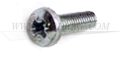 Schroef achterklepslot Volvo 1800ES 192245