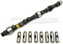 Camshaft type A including lifters Volvo 544 210 Ama 140 240 275761