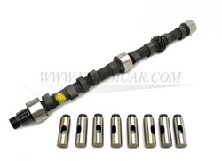 Camshaft type R including lifters Volvo Ama 140 B20 552430