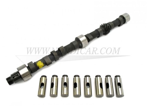 Camshaft type R including lifters Volvo Ama 140 B20 552430