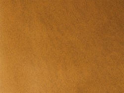 1964-1969 code 310-557