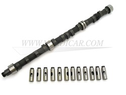 Camshaft type C including lifters Volvo 164 B30 430013