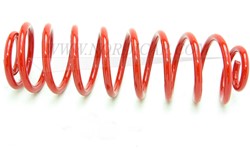 Suspension spring Rear axle- progressive Volvo 142 144 164 145 Std -74 675076