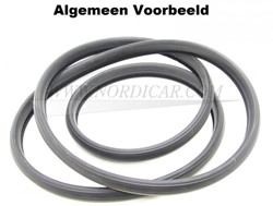 Achterruit rubber Volvo 120 130 671764