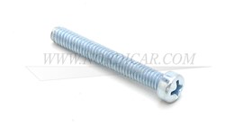 Lens, taillight- screw Volvo Ama 950099