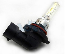 Gloeilamp grootlicht 12v/60W Volvo XC70 (01-07) V70 (08-) C70 (06-) C30 S40 (04-) V50 S60 (-09) 989826
