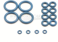 Dichtring Satz LPI Injektor 4-Zylinder Volvo Vialle LPI LPI