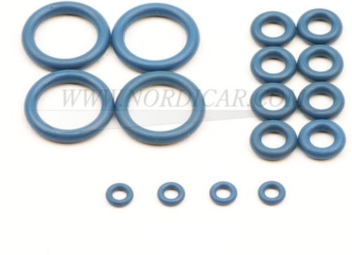 Dichtring Satz LPI Injektor 4-Zylinder Volvo Vialle LPI LPI